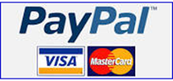 paypal security